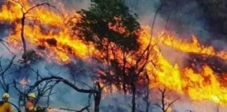 Alerta por vientos e incendios forestales en la ciudad de Salta durante los próximos días