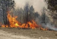 El riesgo de incendios se adelantó en Salta y agosto será un mes complejo
