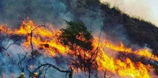 Rige un alerta de riesgo “muy alto” por incendios en Salta