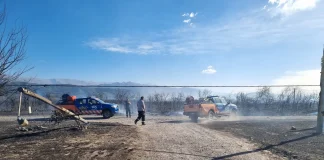 La Municipalidad intervino en 135 incidentes por el viento y el fuego
