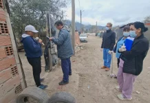 La Municipalidad de Salta asistió a los perros detectados con leptospirosis en la zona sudeste