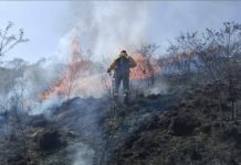 Incendios en Salta: En julio se quemaron 8.700 hectáreas, casi 70 veces más que el año pasado