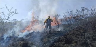 Incendios en Salta: En julio se quemaron 8.700 hectáreas, casi 70 veces más que el año pasado
