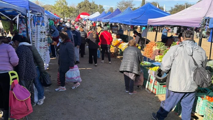 el-mercado-en-tu-barrio-3