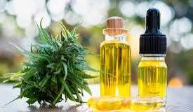 Salta reglamentó el cannabis medicinal: habilita autocultivo, terceros cultivadores y productores