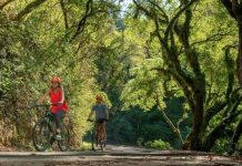 Naturaleza, altura y adrenalina: la experiencia de explorar Salta sobre dos ruedas
