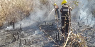 ¡Atención! Rige un alerta por incendios forestales en Salta