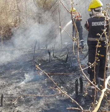 ¡Atención! Rige un alerta por incendios forestales en Salta