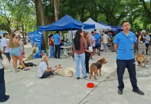 “La Muni Animal” llega a Tres Cerritos con servicios gratuitos