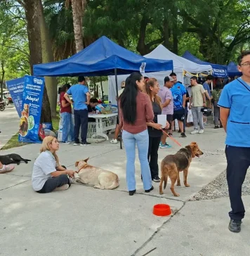 “La Muni Animal” llega a Tres Cerritos con servicios gratuitos