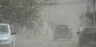 Nueva alerta amarilla por vientos intensos en diferentes regiones de la provincia