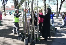 Plantaron 20 lapachos en la plaza Macacha Güemes para recibir a los peregrinos