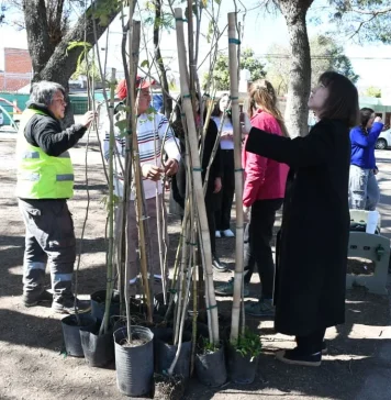Plantaron 20 lapachos en la plaza Macacha Güemes para recibir a los peregrinos