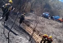 La Municipalidad intervino para sofocar un incendio de gran magnitud en la zona de Aunor