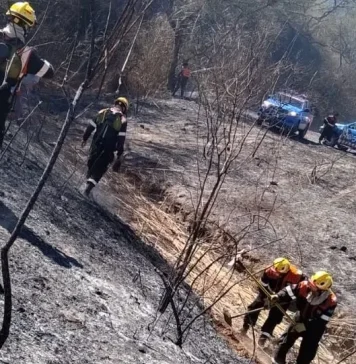 La Municipalidad intervino para sofocar un incendio de gran magnitud en la zona de Aunor