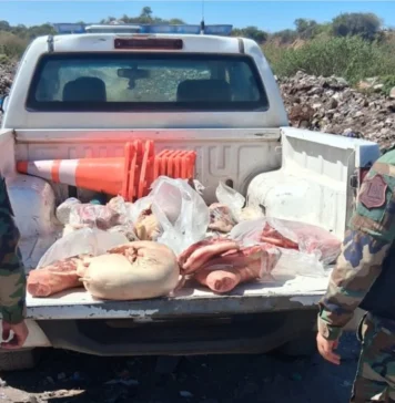 Salta: Secuestraron más de 50 kilos de carne no apta para el consumo