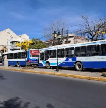 Salta: Servicio de colectivos para el feriado del lunes 12