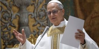 “Nos vemos en la Argentina”: León XIV confirmó su intención de viajar tras reunirse con el arzobispo de San Juan