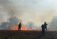 Alto riesgo de incendios en Salta: piden extremar cuidados por sequedad, viento y baja humedad