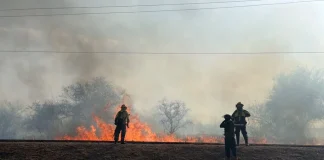 Alto riesgo de incendios en Salta: piden extremar cuidados por sequedad, viento y baja humedad