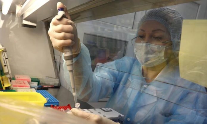 investigan-la-muerte-de-una-investigadora-en-siberia-foto-cortesiamoscow-times-TFQIXRCPTVEVTCHQPJCV43QTCE-780x470